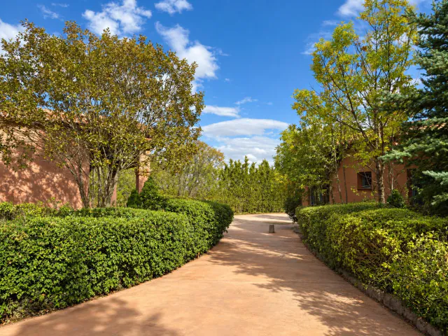 El jardín, a un lado del camino